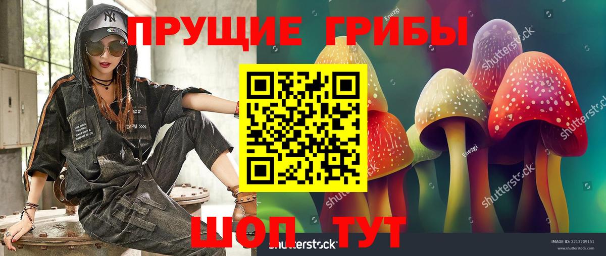 Алапаевск  Псилоцибиновые грибы мицелий  Вход с VPN 
